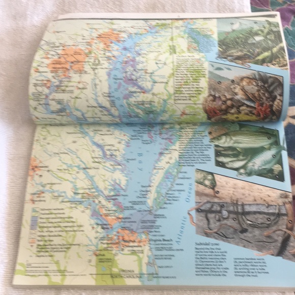 National Geographic Vol. 183 No. 6 June 1993 - Picture 9 of 16